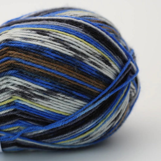 Fritz & Fiete - Socken und so... 4ply - Bamble Color